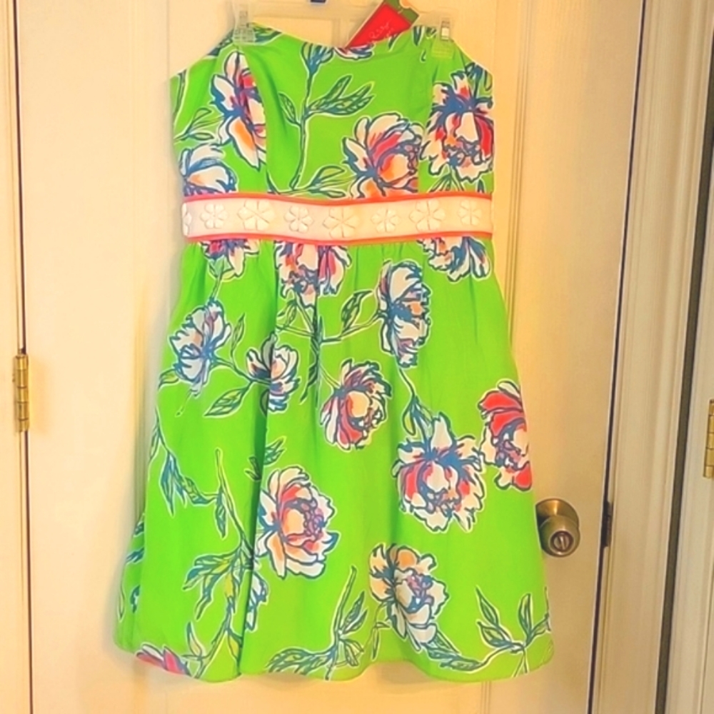 NWT Lilly Pulitzer Langley Dress